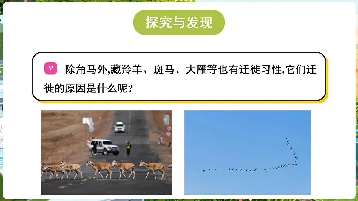 18689388第7页