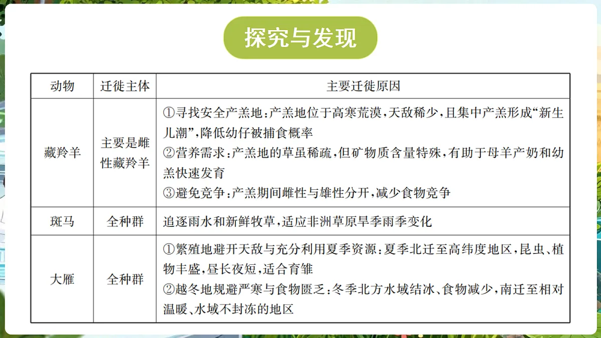 18689388第8页