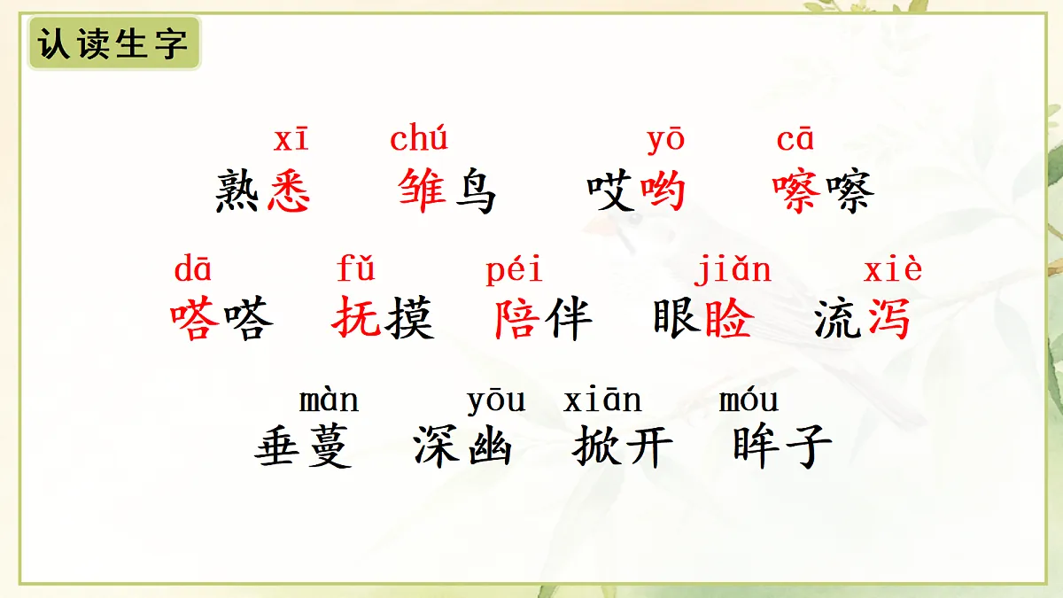(教学课件)3.珍珠鸟第6页