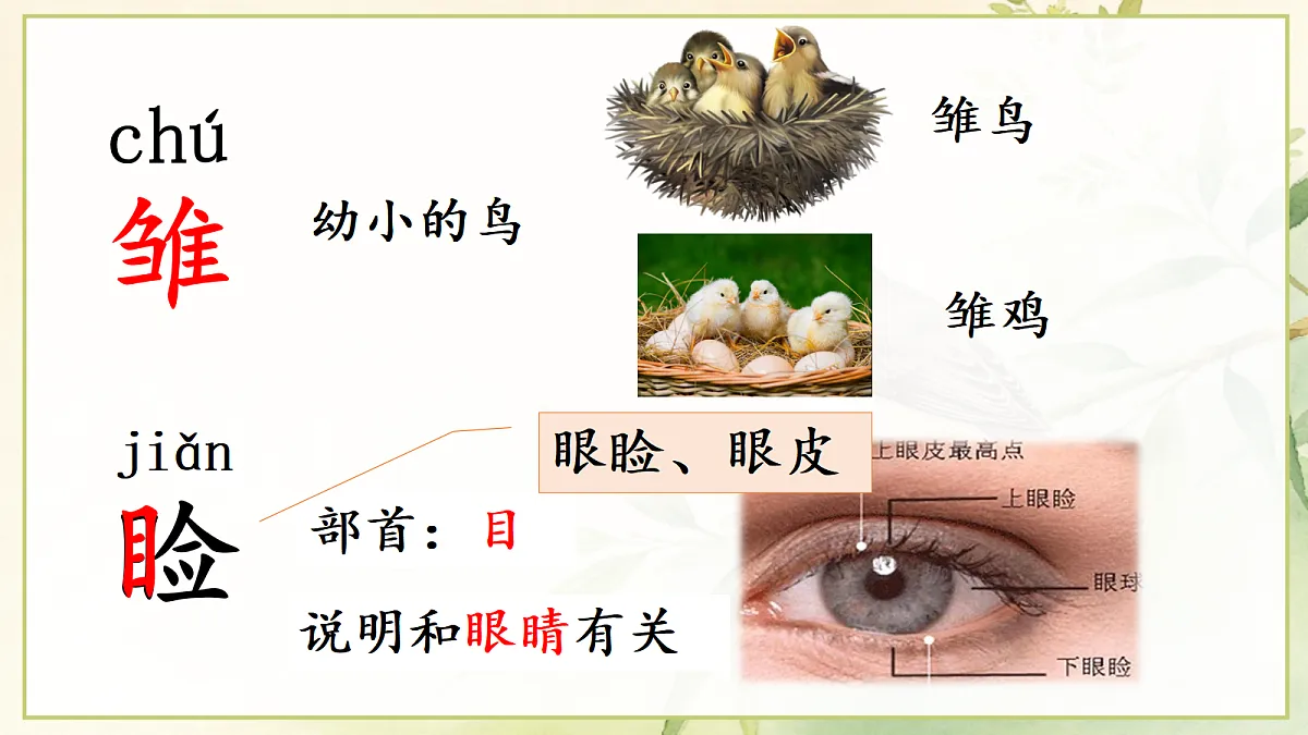 (教学课件)3.珍珠鸟第7页