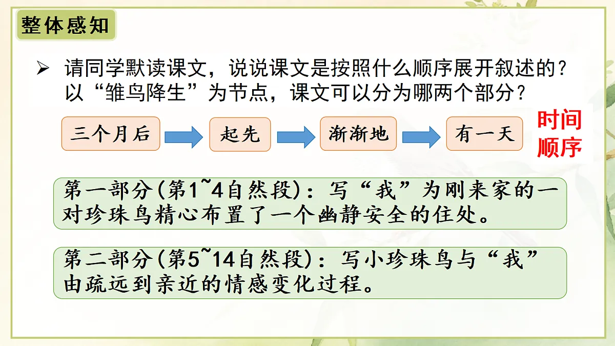 (教学课件)3.珍珠鸟第8页