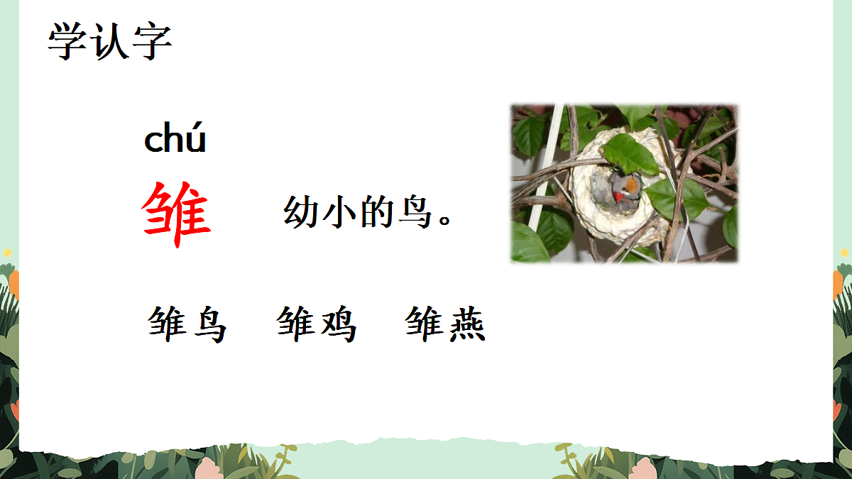 【核心素养】部编版小学语文五年级上册 3 珍珠鸟 课件第6页