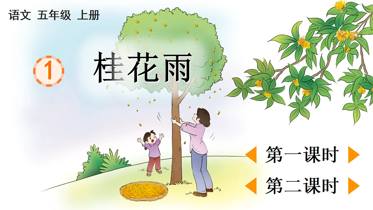 1 桂花雨第1页