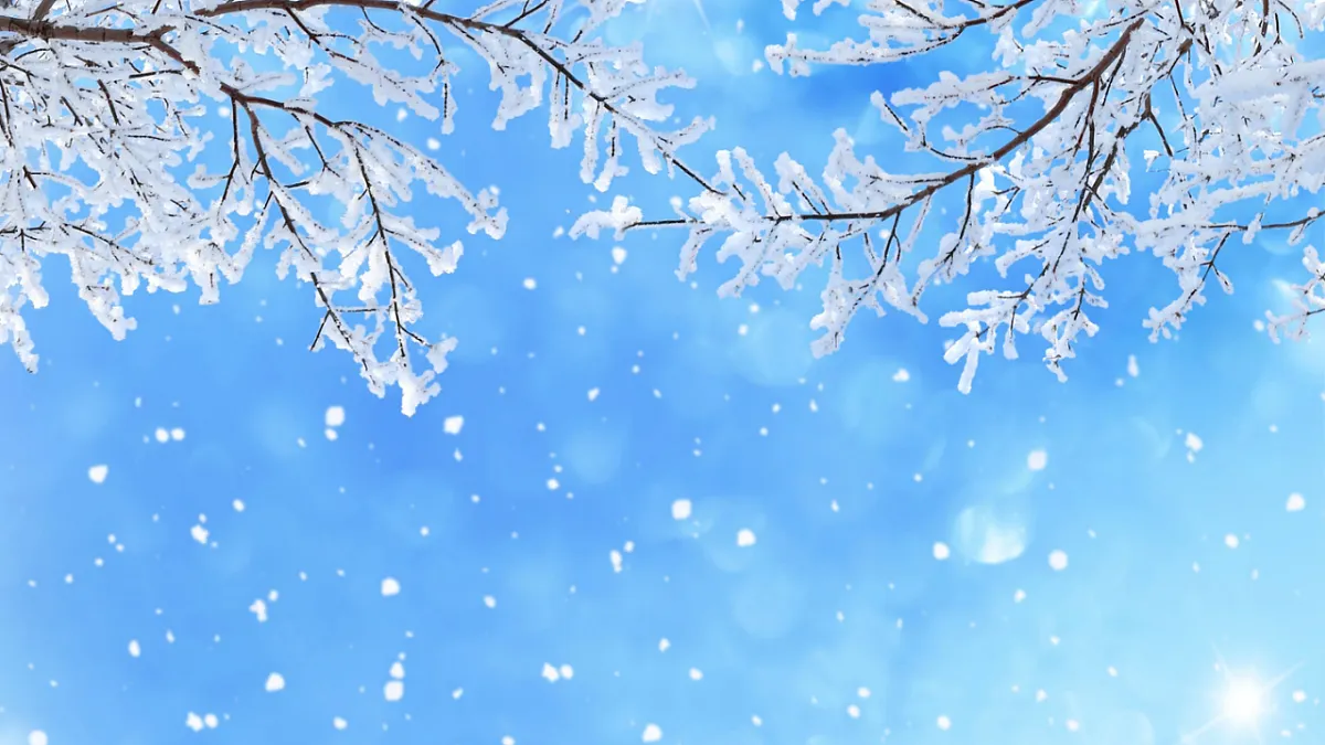 【教学课件】21.第一场雪第2课时第7页