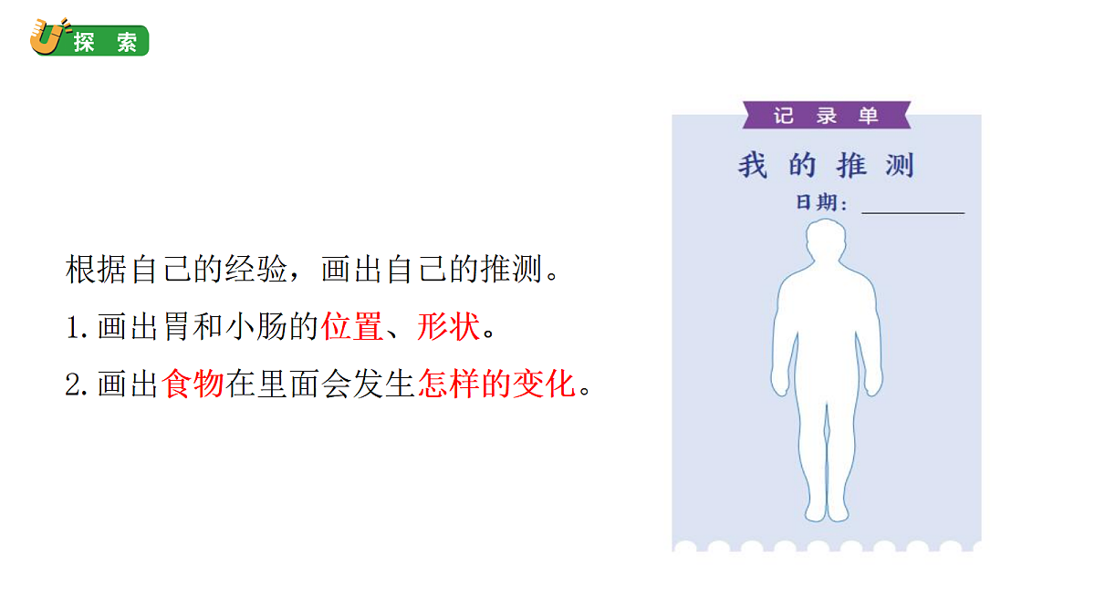 2.6《胃和小肠的消化》教学课件(课件)-2026-2027学年科学四年级上册教科版第3页