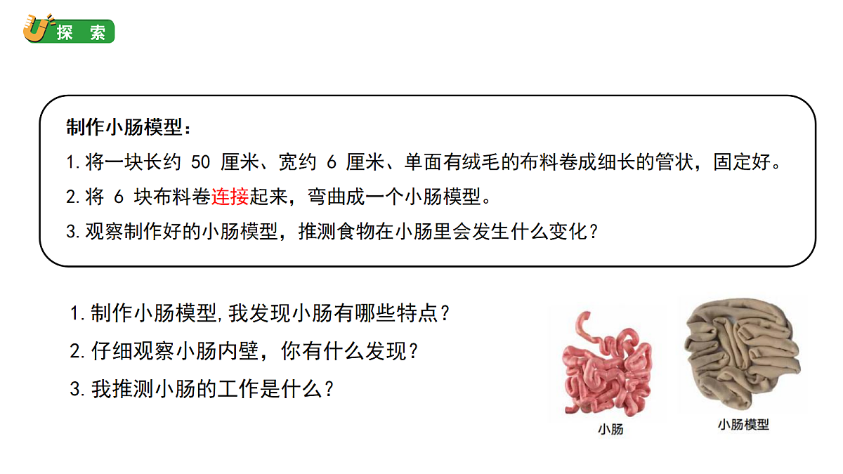 2.6《胃和小肠的消化》教学课件(课件)-2026-2027学年科学四年级上册教科版第5页