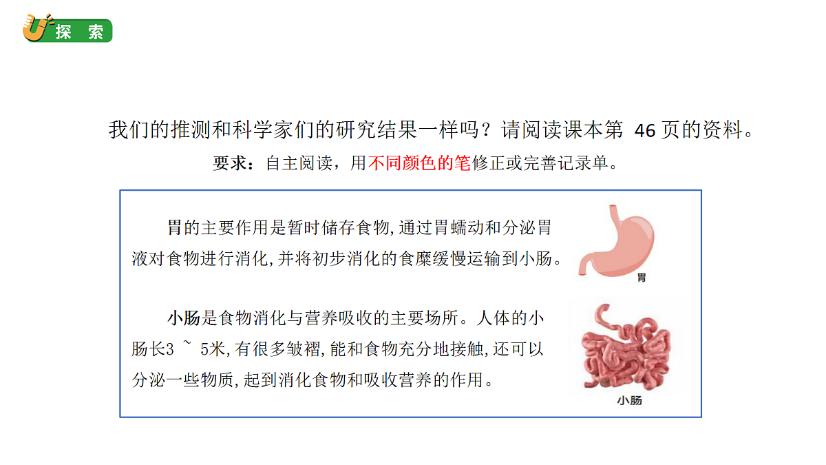 2.6《胃和小肠的消化》教学课件(课件)-2026-2027学年科学四年级上册教科版第6页