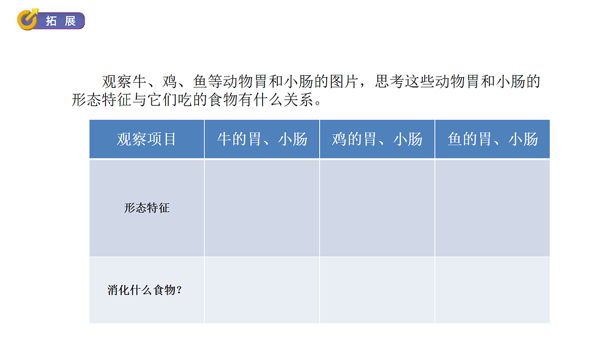 2.6《胃和小肠的消化》教学课件(课件)-2026-2027学年科学四年级上册教科版第8页