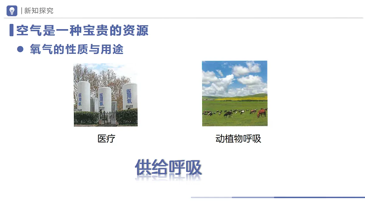 18693784第3页