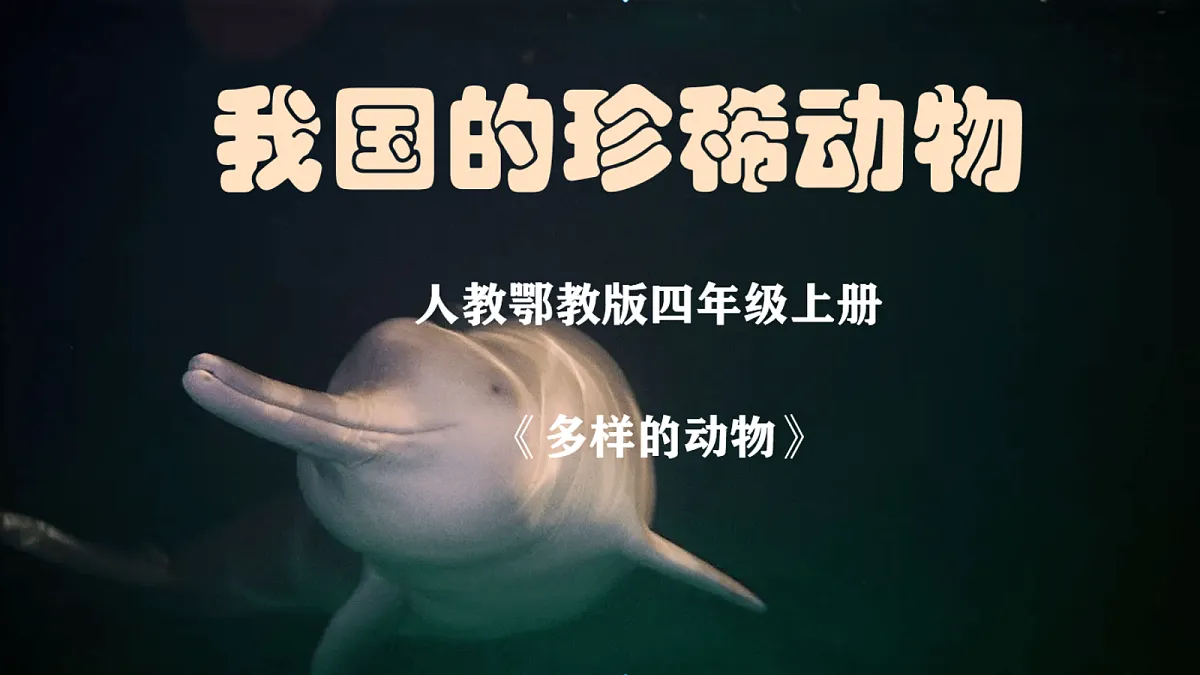【新课标】1.3《我国的珍稀动物》课件(24张ppt)第1页