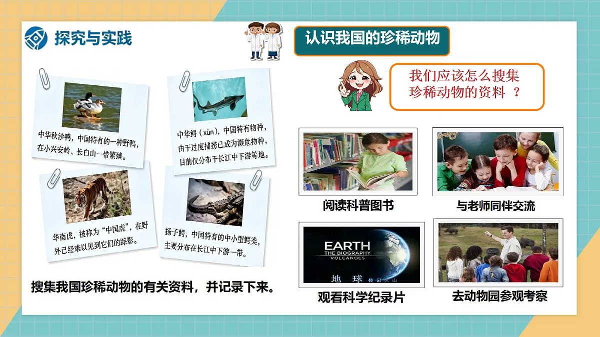 【新课标】1.3《我国的珍稀动物》课件(24张ppt)第3页