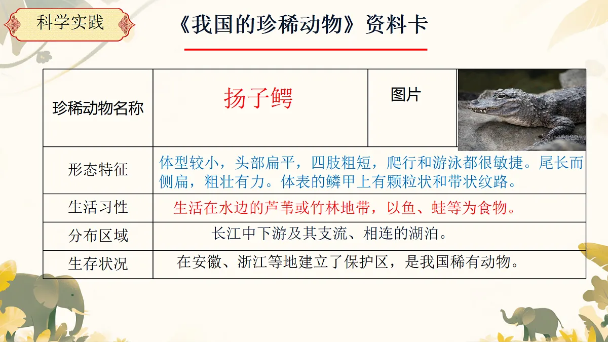 【新课标】1.3《我国的珍稀动物》课件(24张ppt)第4页