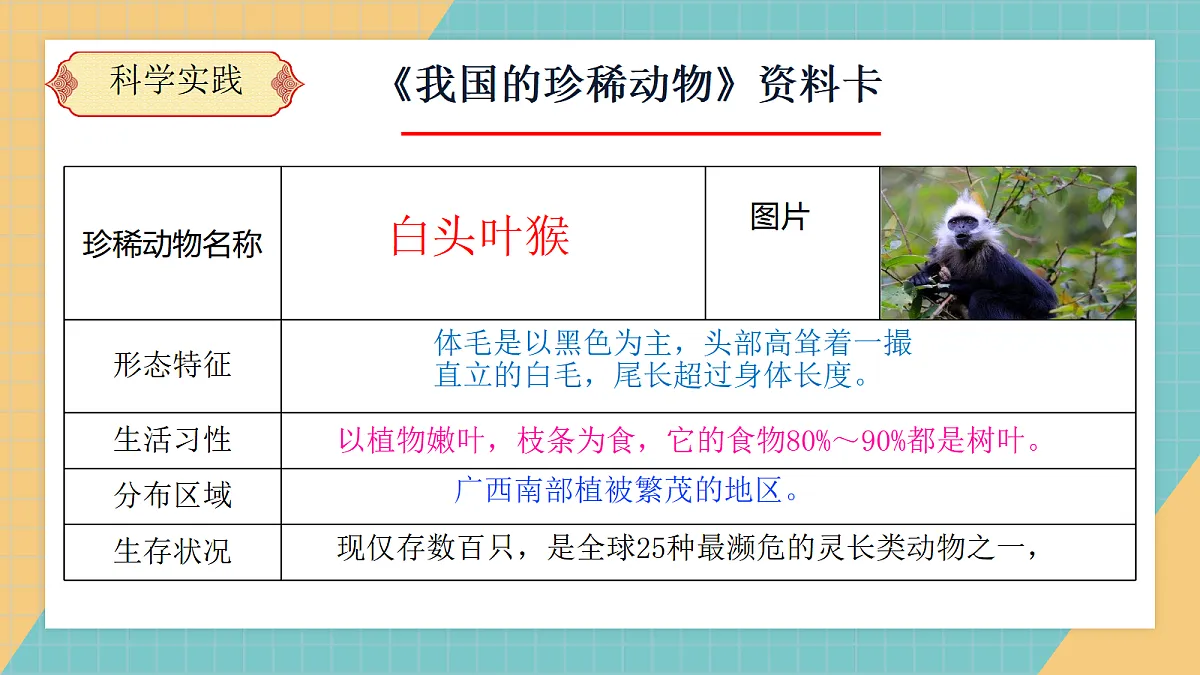 【新课标】1.3《我国的珍稀动物》课件(24张ppt)第8页
