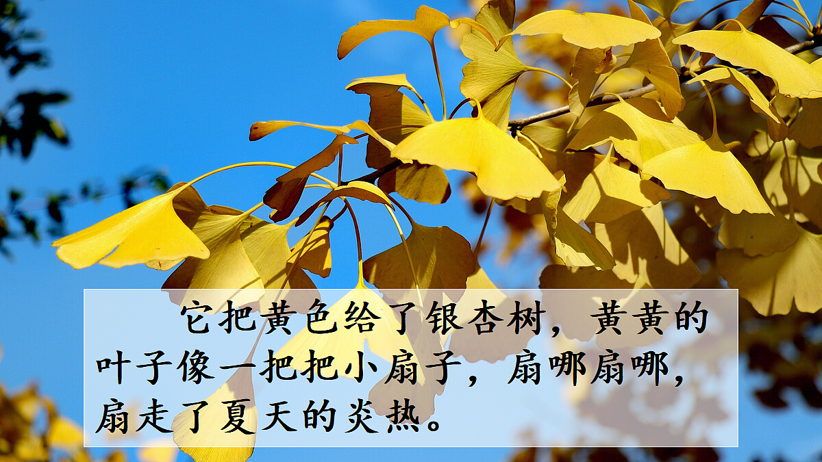 18696490第4页