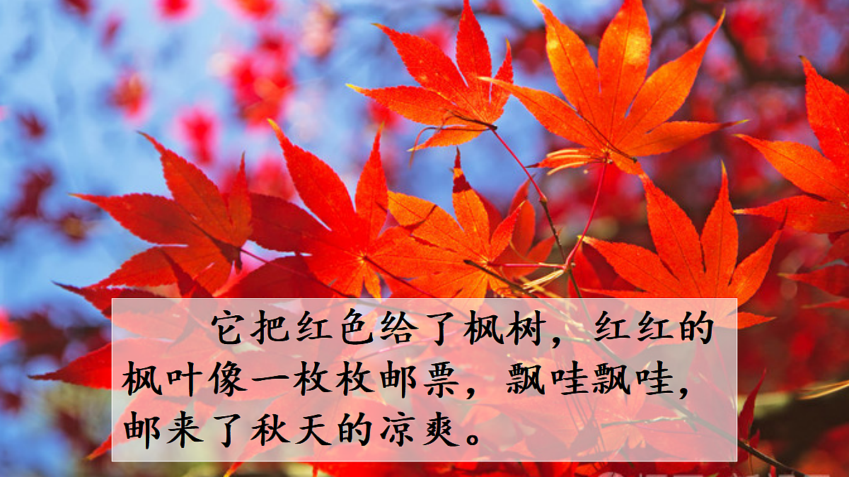 18696490第5页