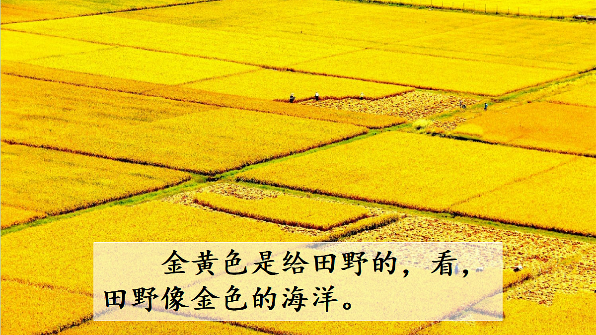 18696490第6页