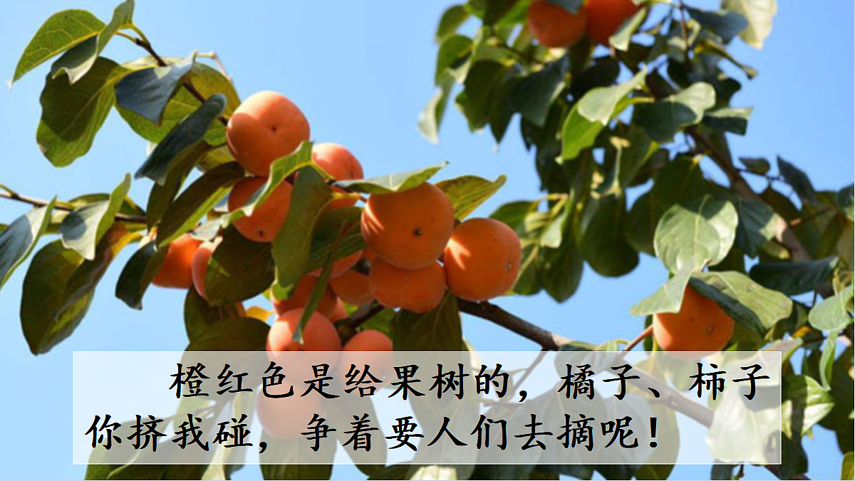 18696490第7页
