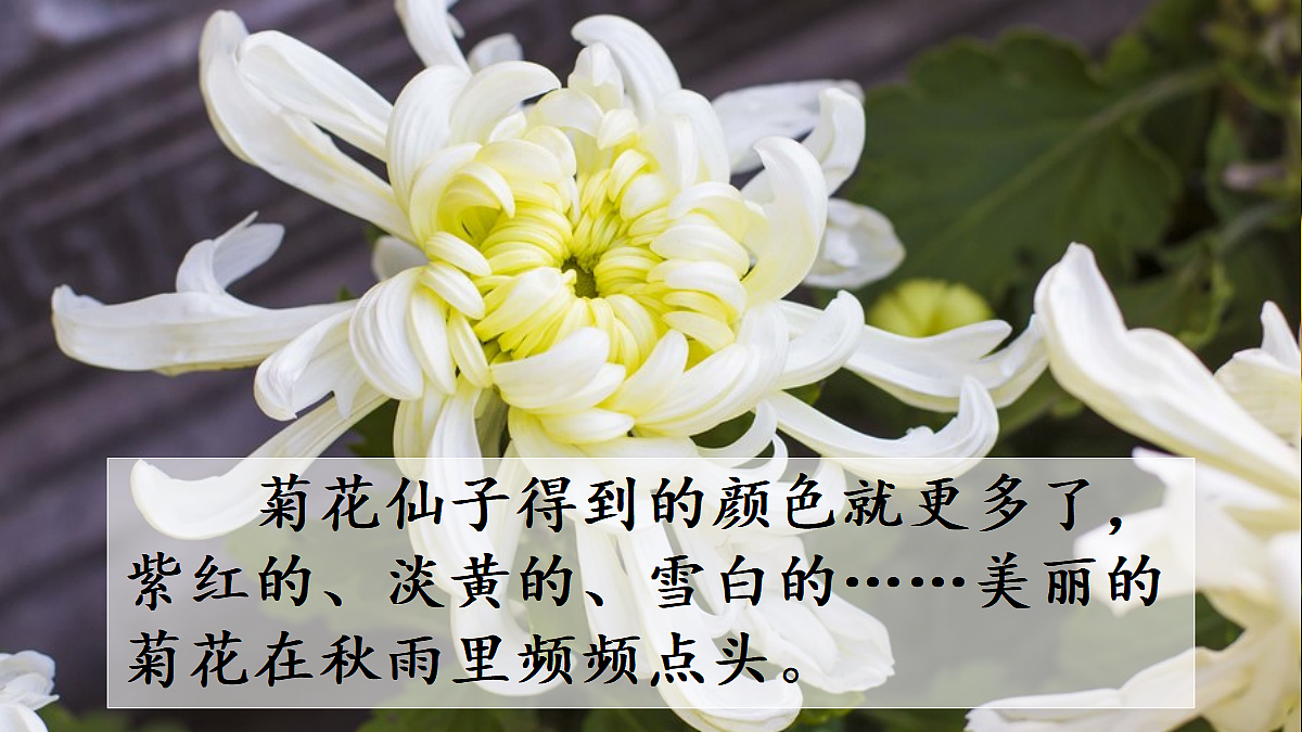 18696490第8页