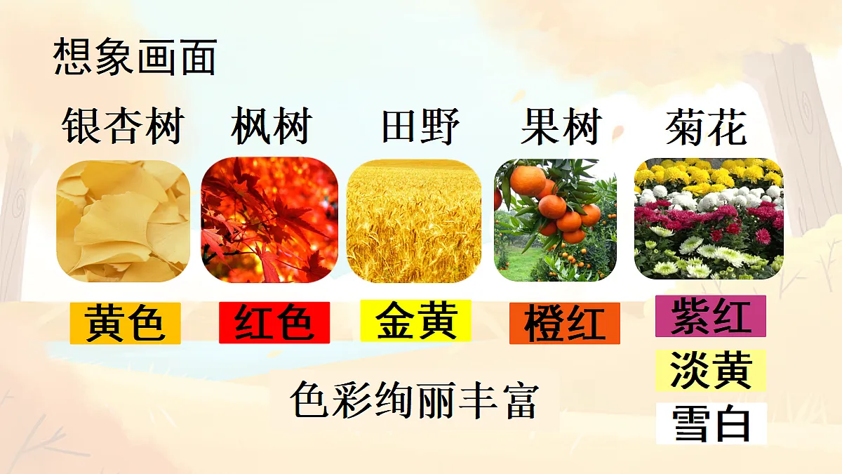 18696492第4页