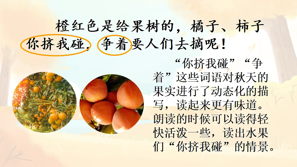 18696492第8页