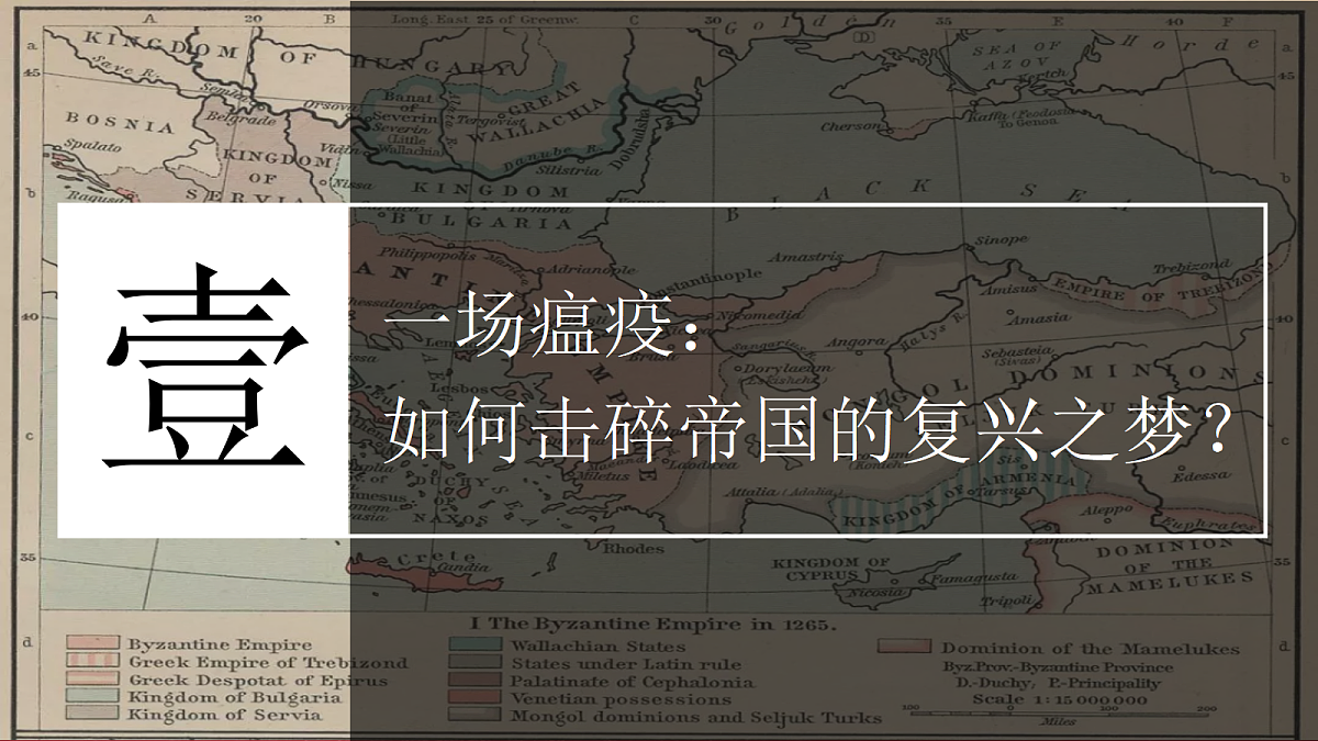 18697436第3页