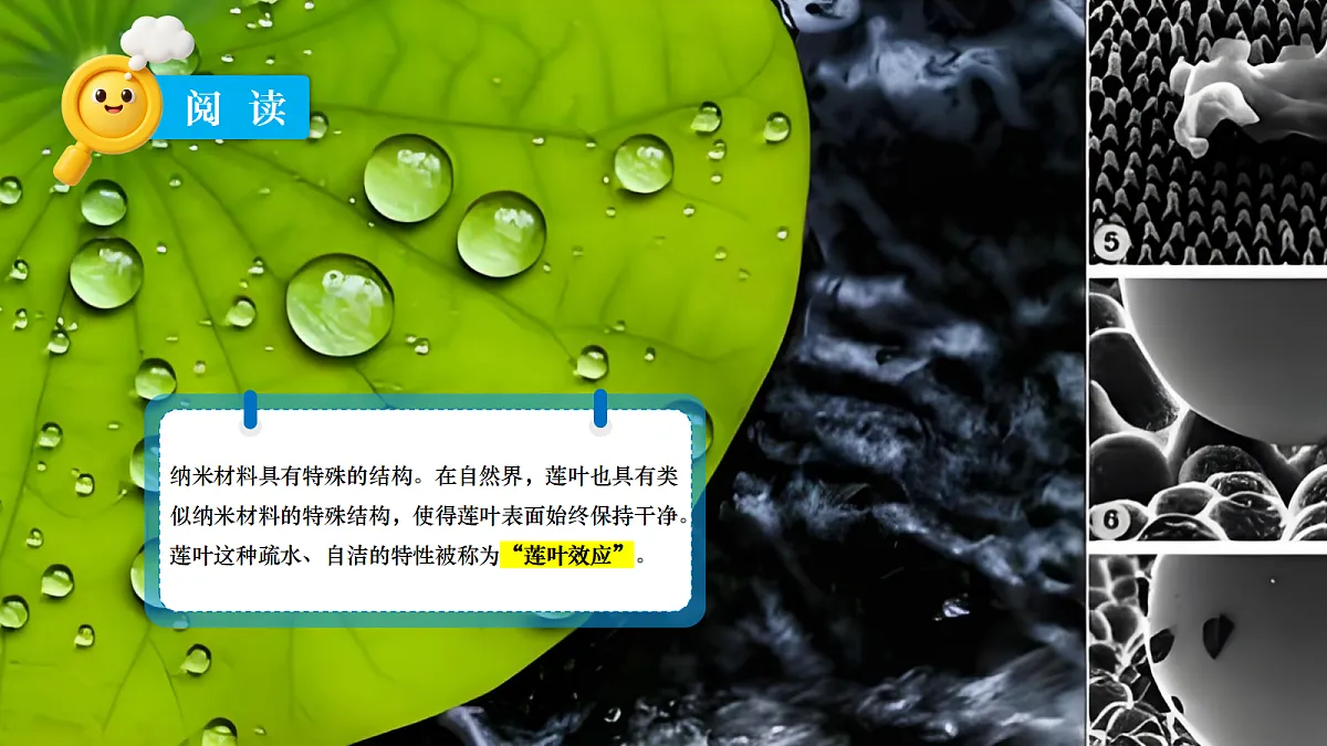 18697829第3页
