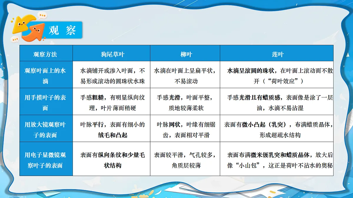18697829第5页