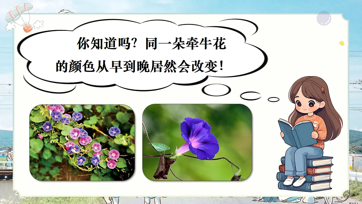习作:我们眼中的缤纷世界+梳理与交流第3页