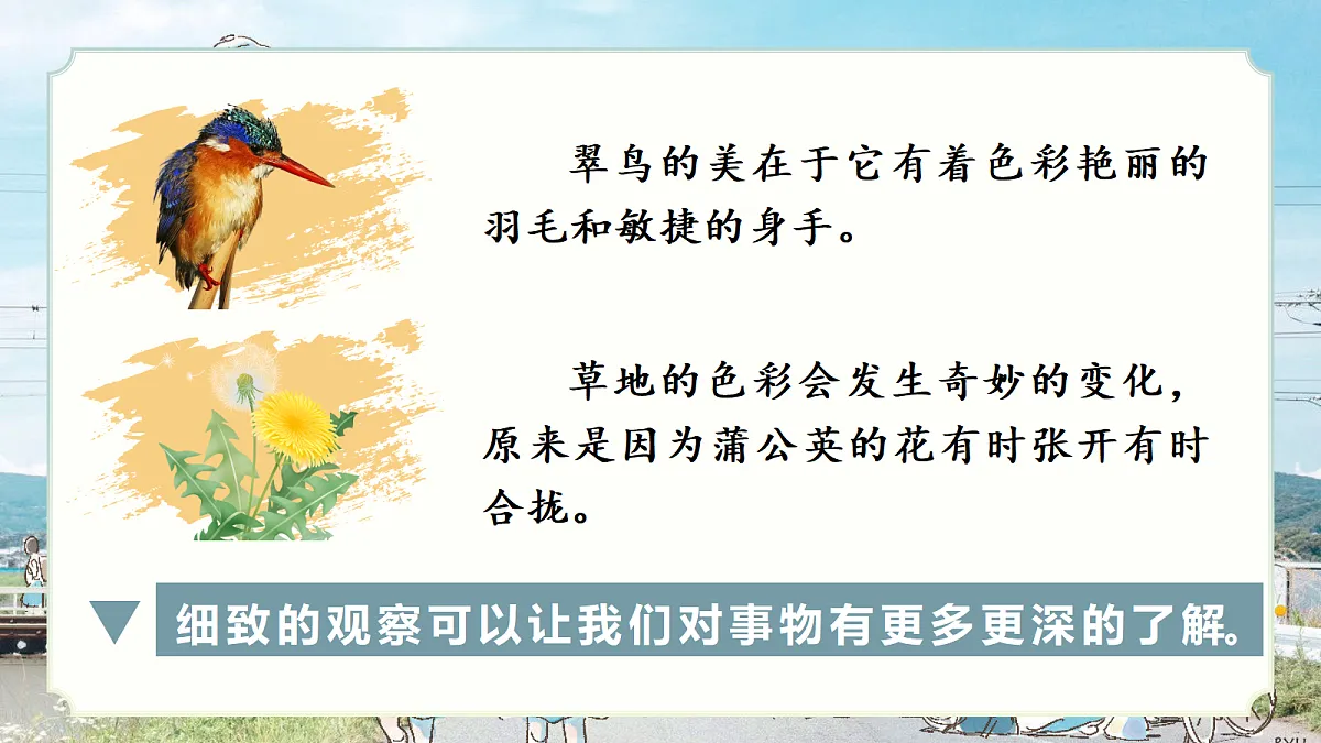 习作:我们眼中的缤纷世界+梳理与交流第7页