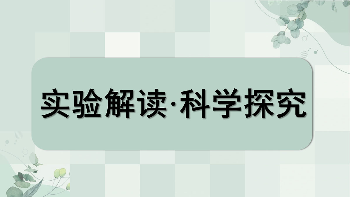 18698266第3页