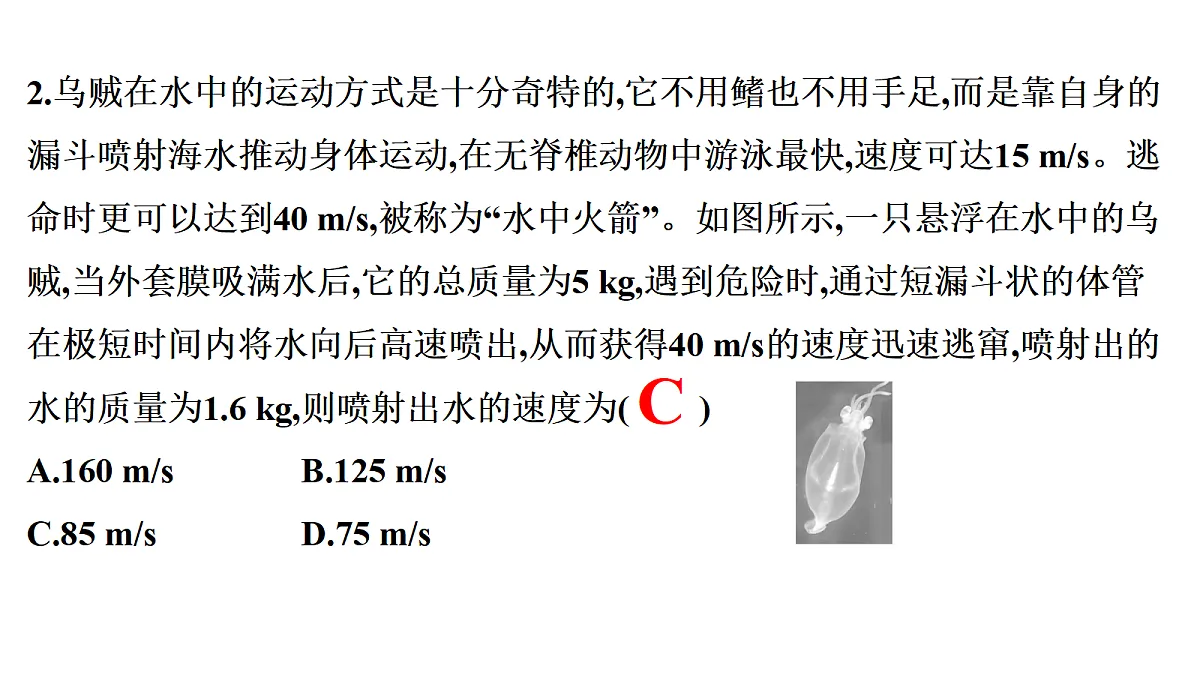 18698271第5页