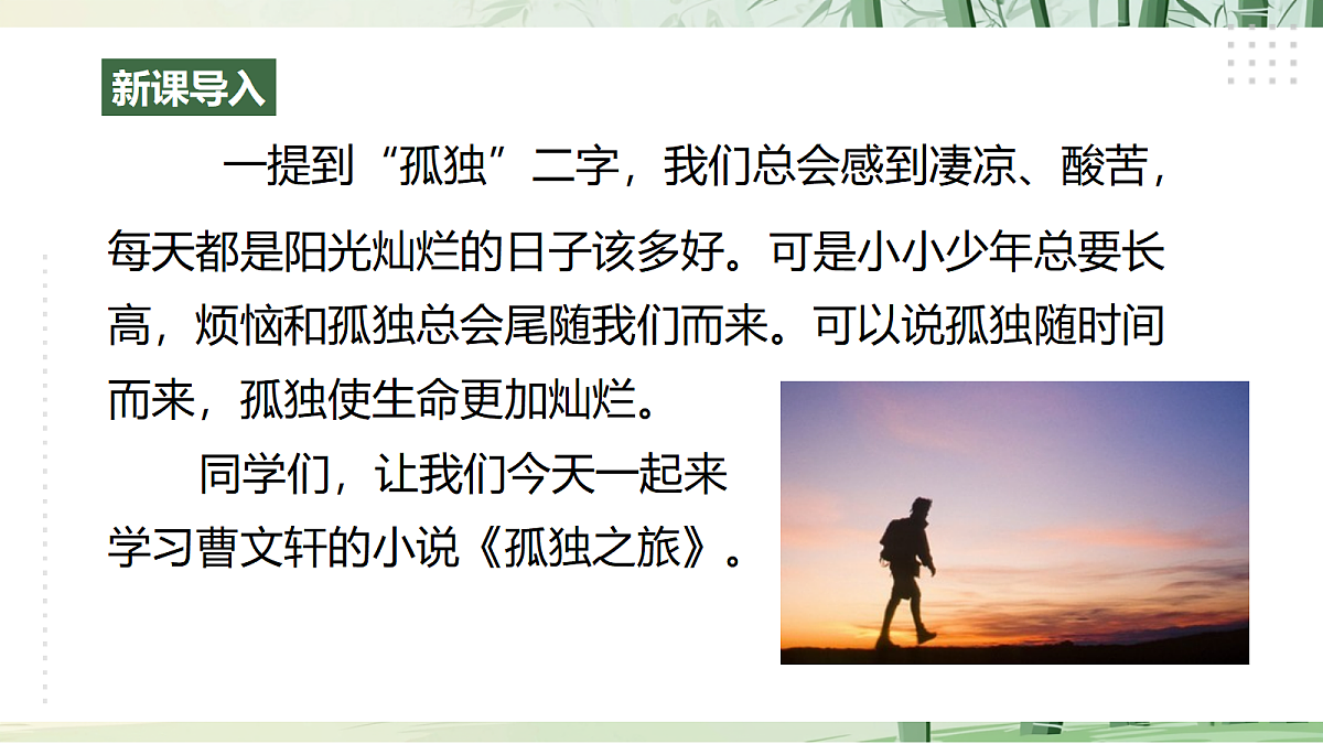 17《孤独之旅》【2022新课标】 课件第1页