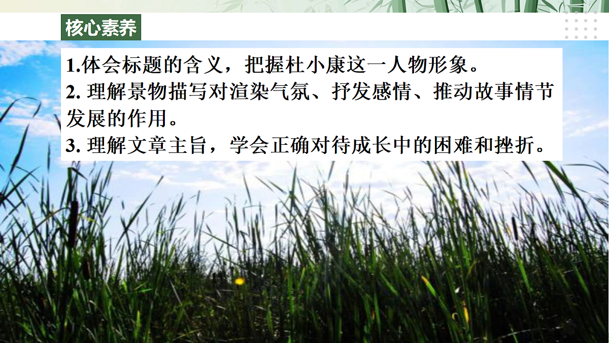 17《孤独之旅》【2022新课标】 课件第3页