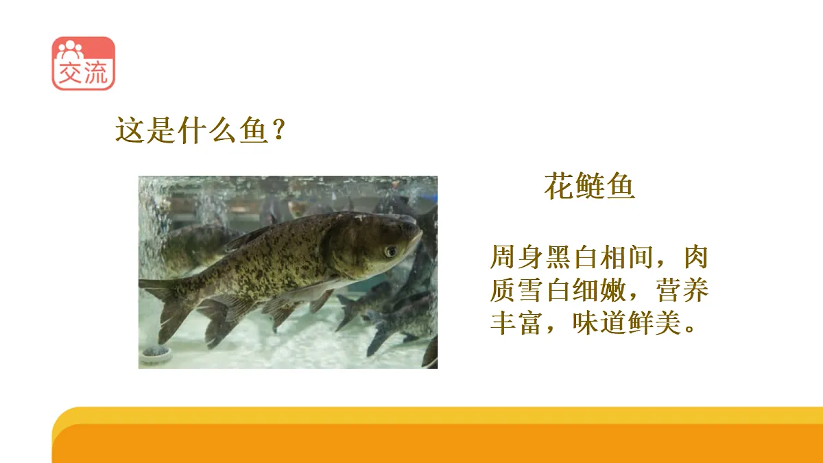 四上 1.2《鱼类》课件第5页
