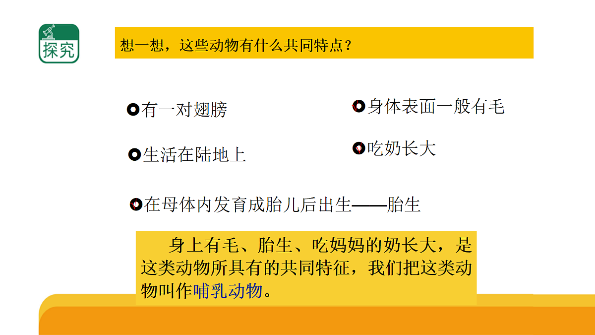 四上 1.4 《哺乳类》第3页