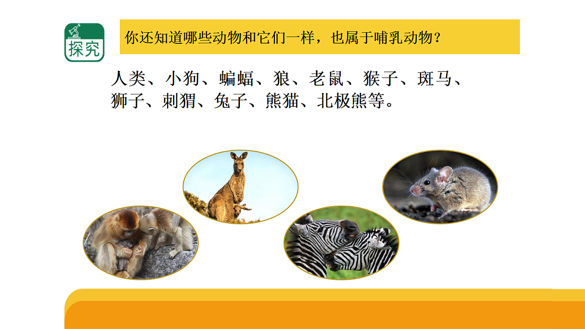 四上 1.4 《哺乳类》第4页