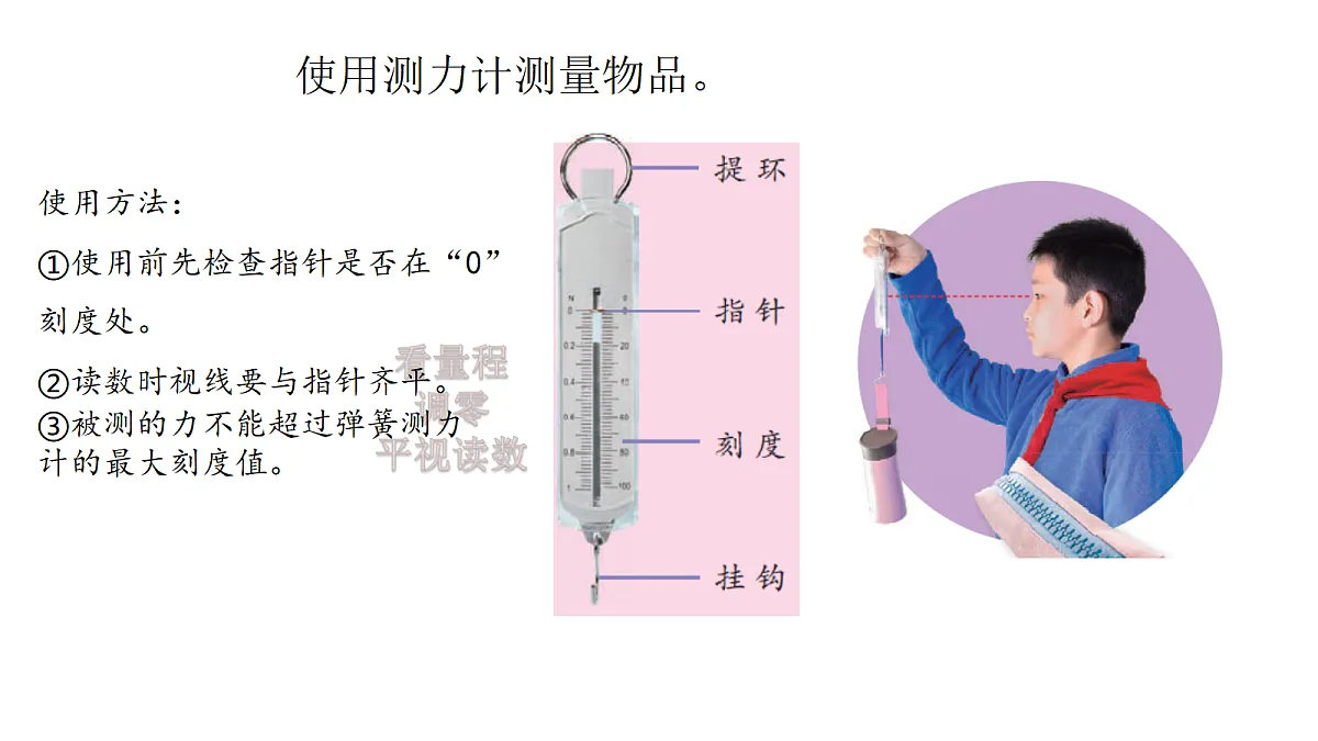 五上 3.9《弹力》第4页