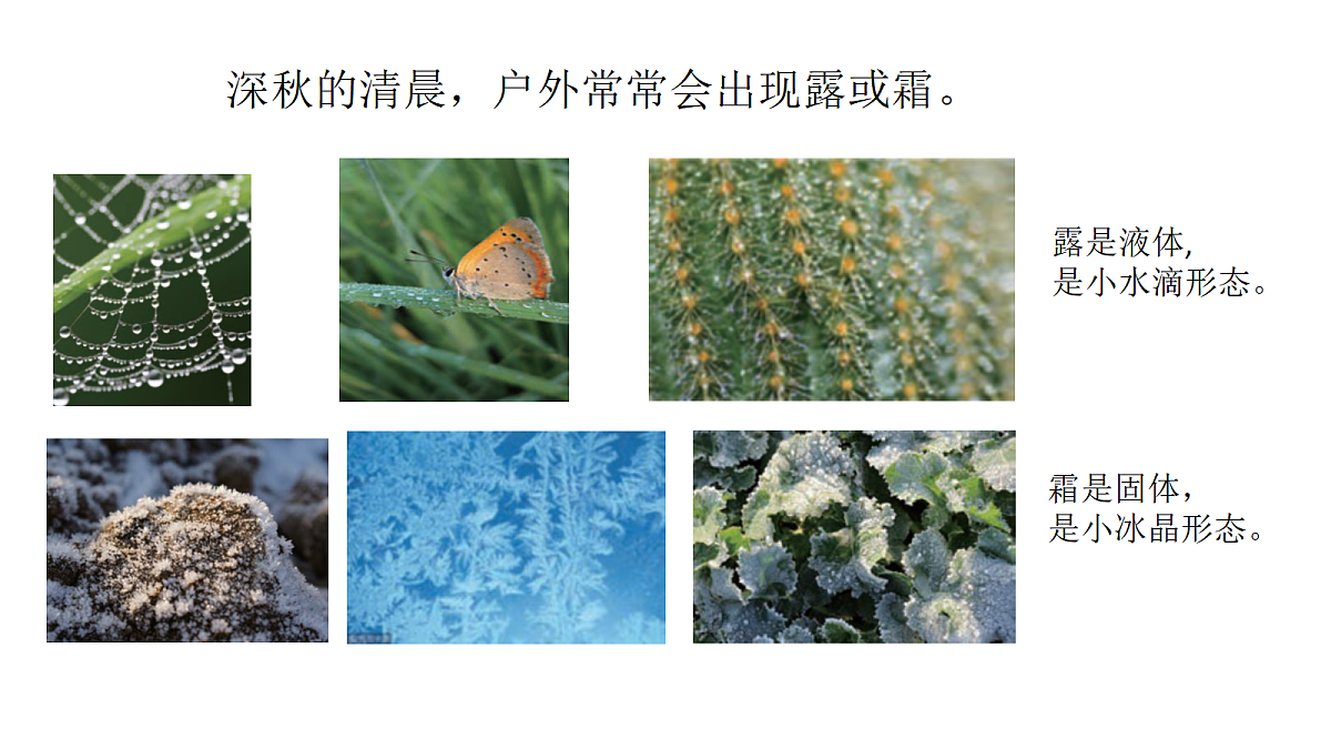 六上4-13《露和霜》第2页