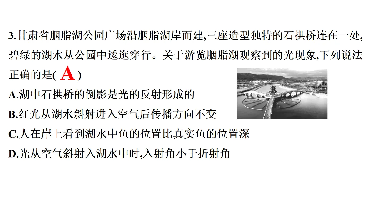 18698999第7页
