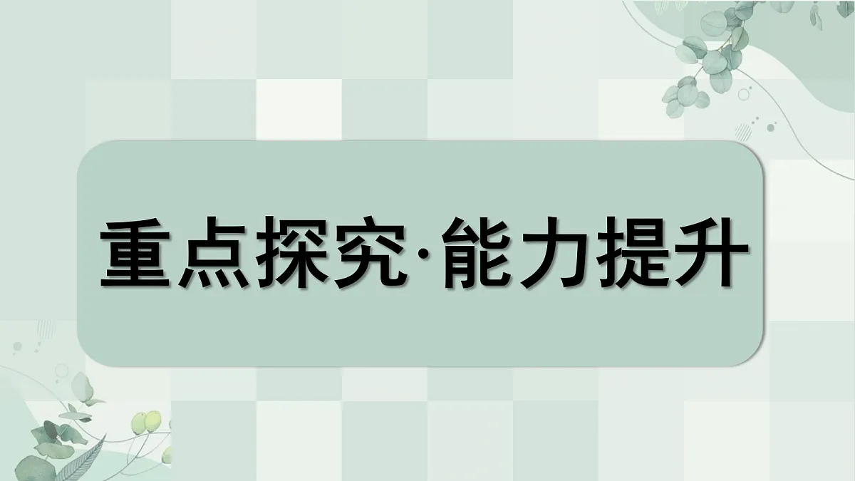 18699009第3页