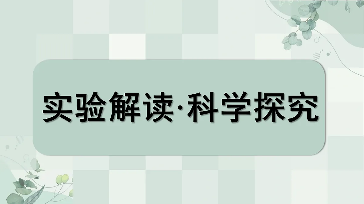 18699014第3页
