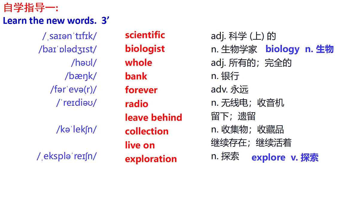 18699463第3页