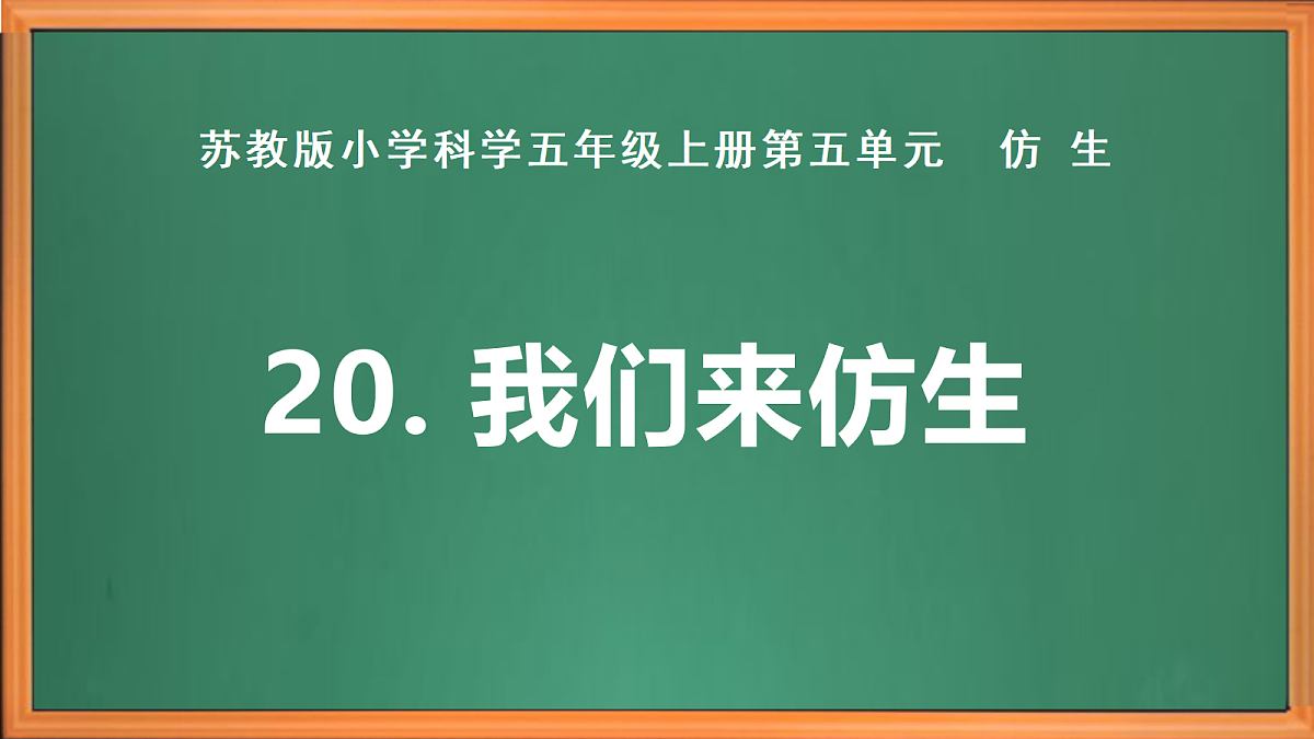苏教版小学科学五年级上册第五单元《20 我们来仿生》课件+作业+视频第2页