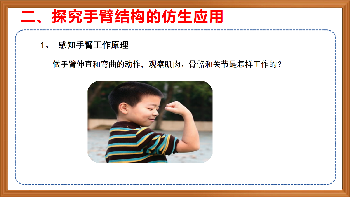苏教版小学科学五年级上册第五单元《20 我们来仿生》课件+作业+视频第6页