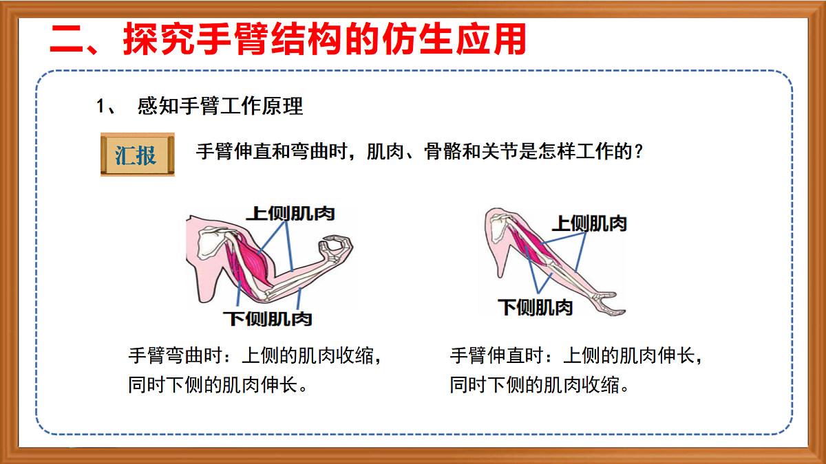 苏教版小学科学五年级上册第五单元《20 我们来仿生》课件+作业+视频第7页