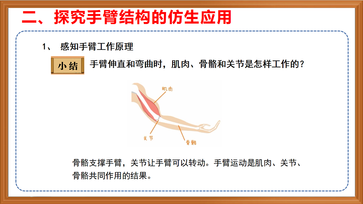 苏教版小学科学五年级上册第五单元《20 我们来仿生》课件+作业+视频第8页