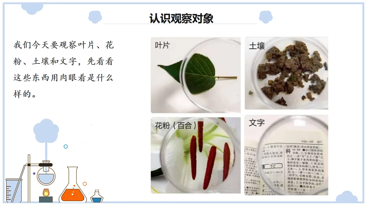 《研究放大镜》课件第8页