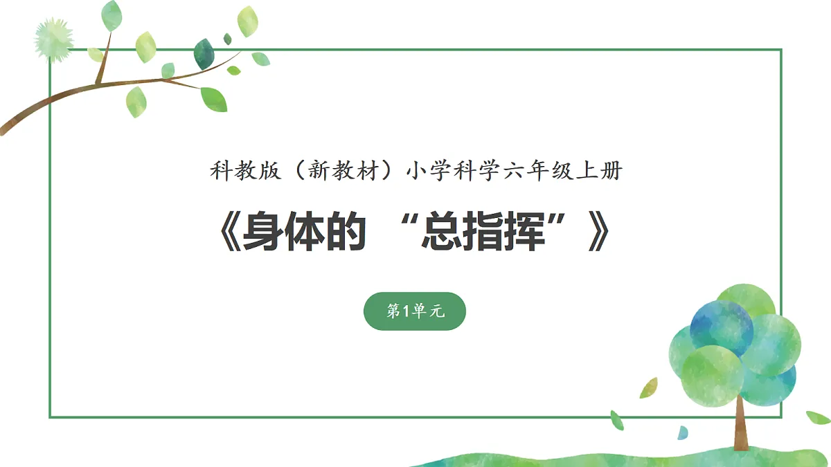 《身体的总指挥》课件第1页