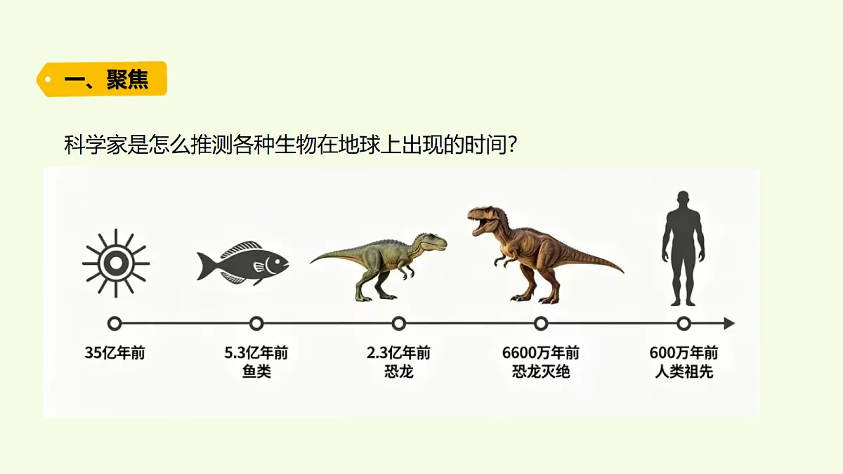 18703733第2页