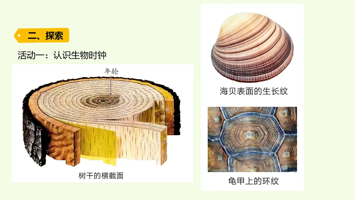 18703733第3页